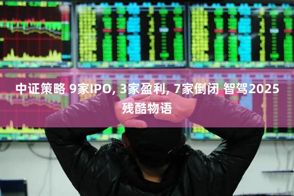 中证策略 9家IPO, 3家盈利, 7家倒闭 智驾2025残酷物语