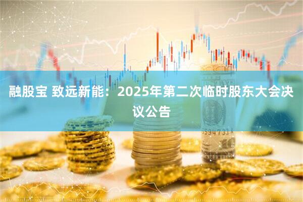 融股宝 致远新能：2025年第二次临时股东大会决议公告